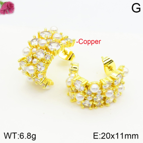 Fashion Copper Earrings  F2E400989vhha-J147