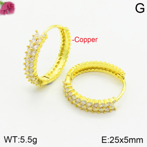 Fashion Copper Earrings  F2E401000ahlv-J147