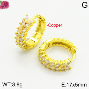 Fashion Copper Earrings  F2E401004vhha-J147