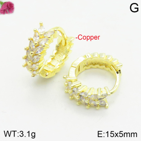 Fashion Copper Earrings  F2E401005bhva-J147