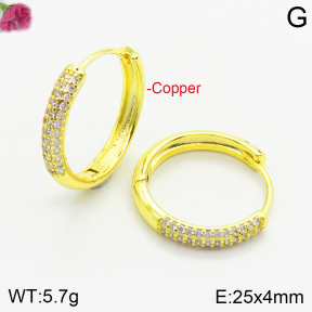 Fashion Copper Earrings  F2E401008bhia-J147