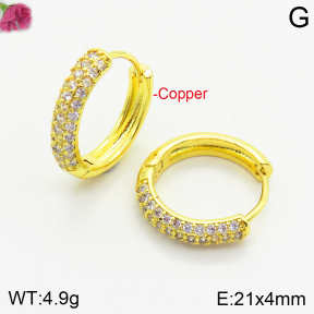 Fashion Copper Earrings  F2E401009bhva-J147
