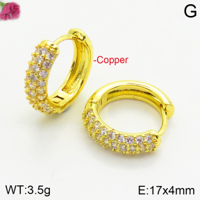 Fashion Copper Earrings  F2E401013bbov-J147