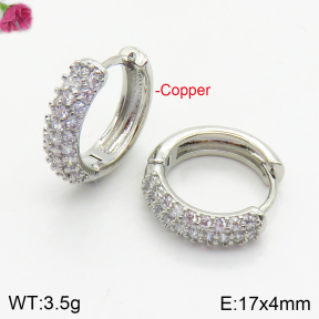 Fashion Copper Earrings  F2E401014bbov-J147