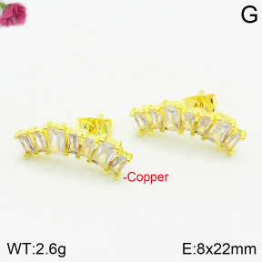 Fashion Copper Earrings  F2E401025bbov-J147
