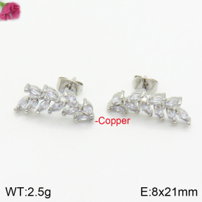 Fashion Copper Earrings  F2E401027bbov-J147