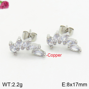 Fashion Copper Earrings  F2E401028bbov-J147