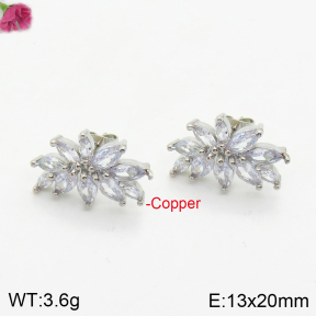 Fashion Copper Earrings  F2E401035bbov-J147