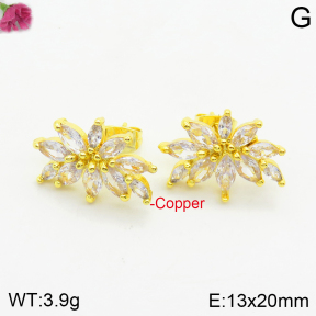 Fashion Copper Earrings  F2E401036bbov-J147