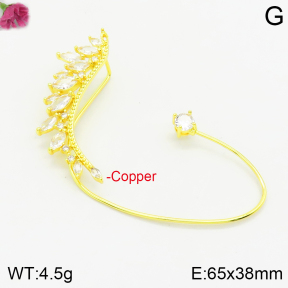 Fashion Copper Earrings  F2E401038bbov-J147