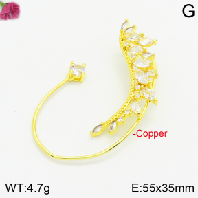 Fashion Copper Earrings  F2E401039bbov-J147