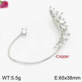 Fashion Copper Earrings  F2E401041bbov-J147