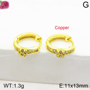 Fashion Copper Earrings  F2E401051vhnv-K70