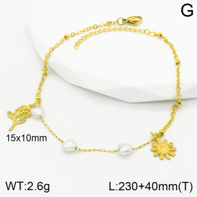 Stainless Steel Anklets  2A9000996ablb-610