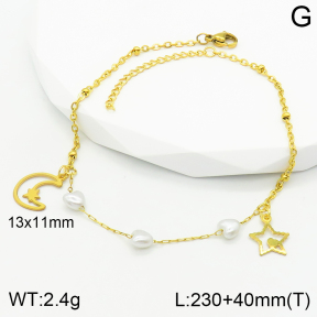 Stainless Steel Anklets  2A9000998ablb-610