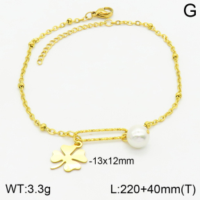 Stainless Steel Anklets  2A9001003ablb-610