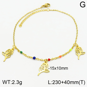 Stainless Steel Anklets  2A9001009vbll-610