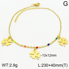 Stainless Steel Anklets  2A9001011vbll-610