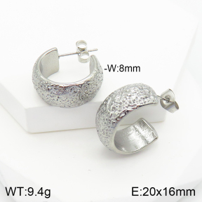 Stainless Steel Earrings  2E2002576vbnb-334