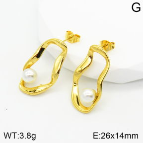 Stainless Steel Earrings  2E3001663bbov-334