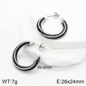 Stainless Steel Earrings  2E4002681vbpb-334