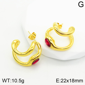 Stainless Steel Earrings  2E4002684abol-334