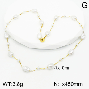 Stainless Steel Necklace  2N3001336bbml-389