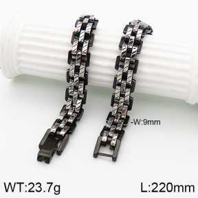 Stainless Steel Bracelet  5B2001853aivb-240