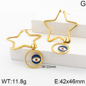 Stainless Steel Earrings  5E3001276vbll-704