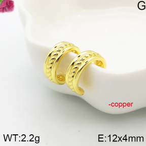 Fashion Copper Earrings  F5E200662aakl-J81