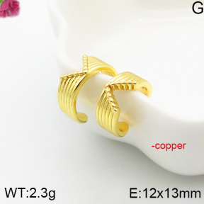 Fashion Copper Earrings  F5E200682aakl-J81