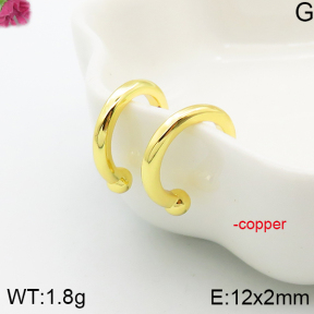 Fashion Copper Earrings  F5E200685aakl-J81
