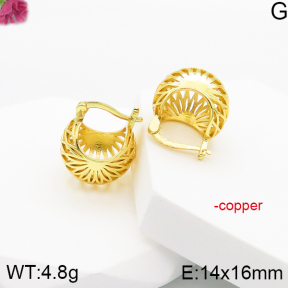 Fashion Copper Earrings  F5E200703vbll-J81