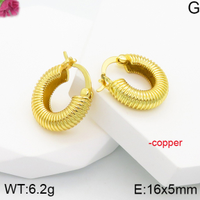 Fashion Copper Earrings  F5E200706vbll-J81