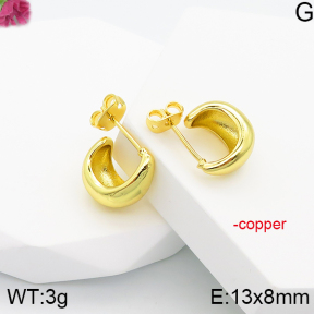 Fashion Copper Earrings  F5E200708vbll-J81