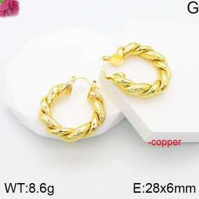 Fashion Copper Earrings  F5E200719vbll-J81