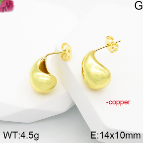 Fashion Copper Earrings  F5E200748vbmb-J81