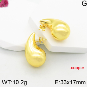 Fashion Copper Earrings  F5E200759bbov-J81