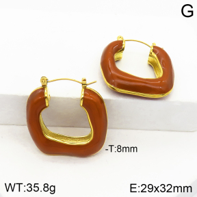 Stainless Steel Earrings  Enamel,Handmade Polished  2E3001607vhkb-066