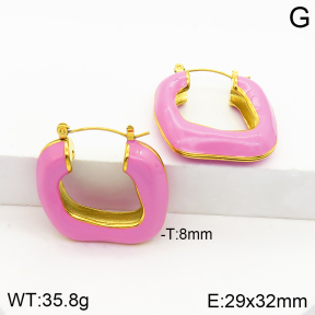 Stainless Steel Earrings  Enamel,Handmade Polished  2E3001608vhkb-066