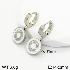 Stainless Steel Earrings  2E3001682aajl-434