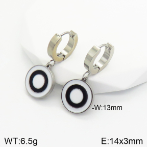 Stainless Steel Earrings  2E3001683aajl-434