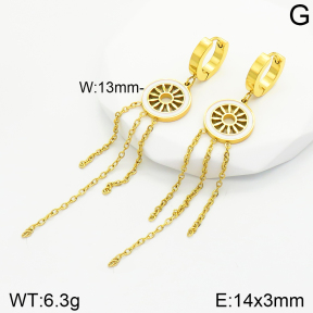 Stainless Steel Earrings  2E3001688aakl-434