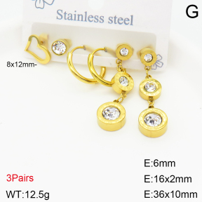 Stainless Steel Earrings  2E4002697bbov-434