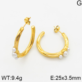 Stainless Steel Earrings  Plastic Imitation Pearls,Handmade Polished  5E3001123bhia-066