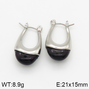 Stainless Steel Earrings  Resin,Handmade Polished  5E4002468bhia-066