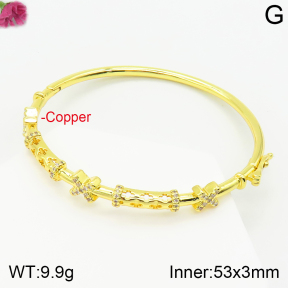 Fashion Copper Bangle  F2BA40581vhov-J111