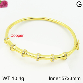 Fashion Copper Bangle  F2BA40584vhov-J111