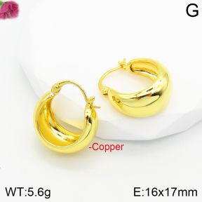 Fashion Copper Earrings  F2E200314vbnb-J111