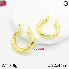 Fashion Copper Earrings  F2E200315vbnb-J111